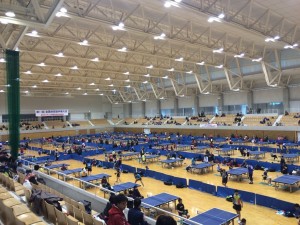 全国卓球選手権大会年代別（2）